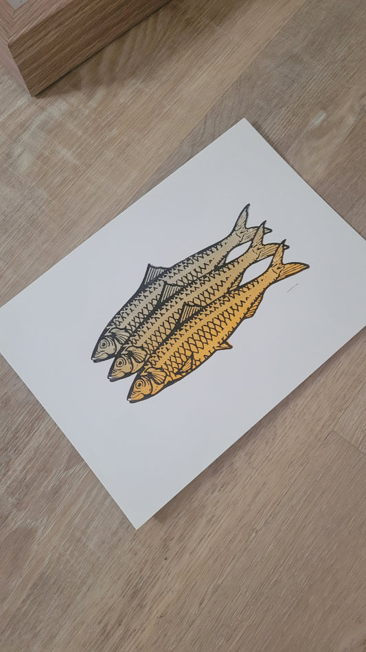 Golden Catch – Art Print