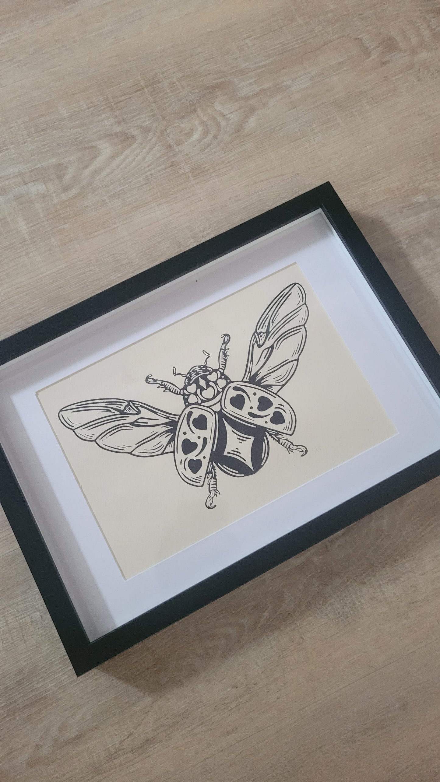 star beetle