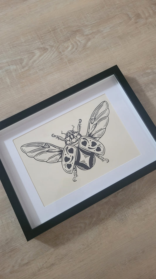 star beetle