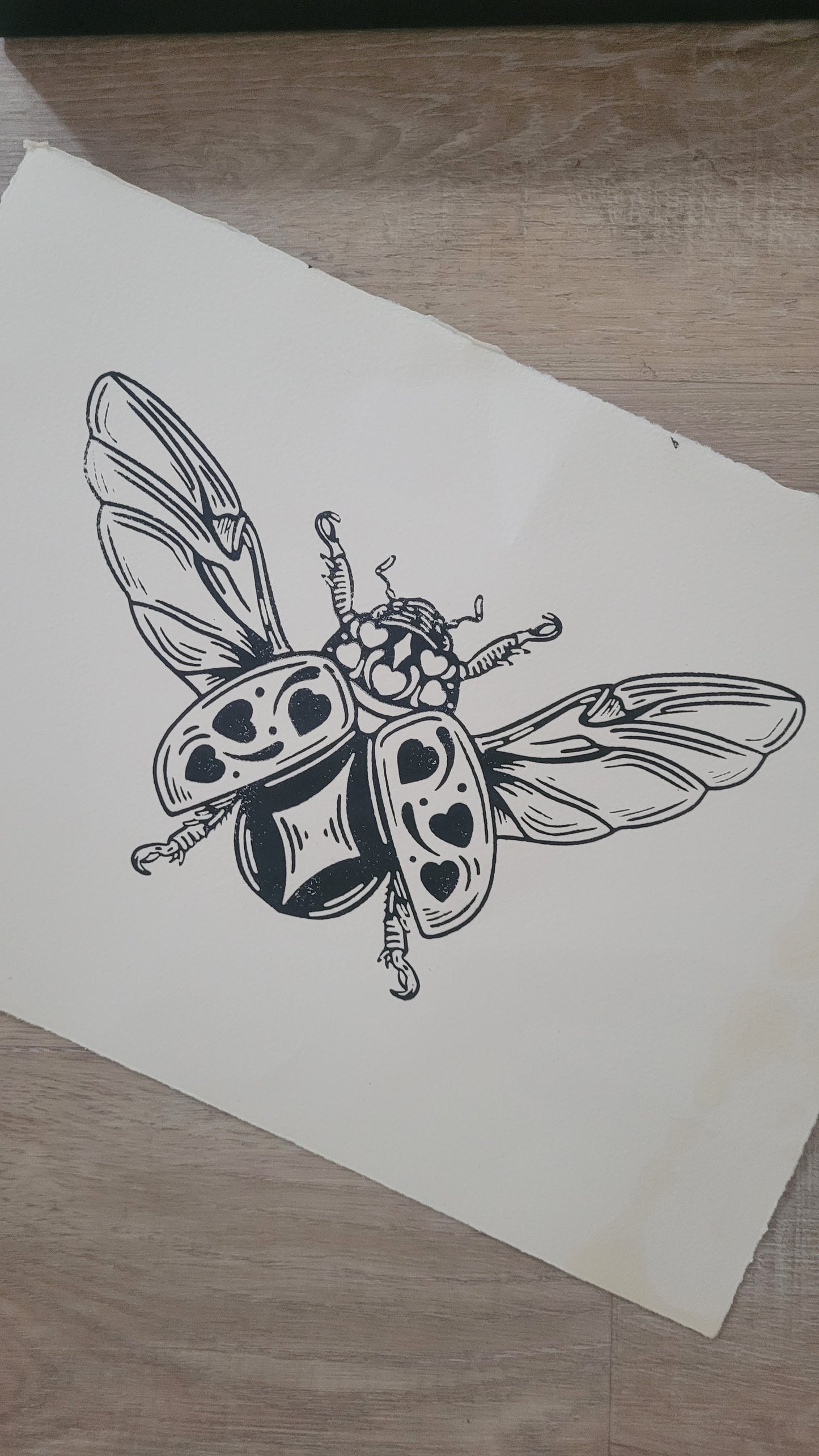 star beetle