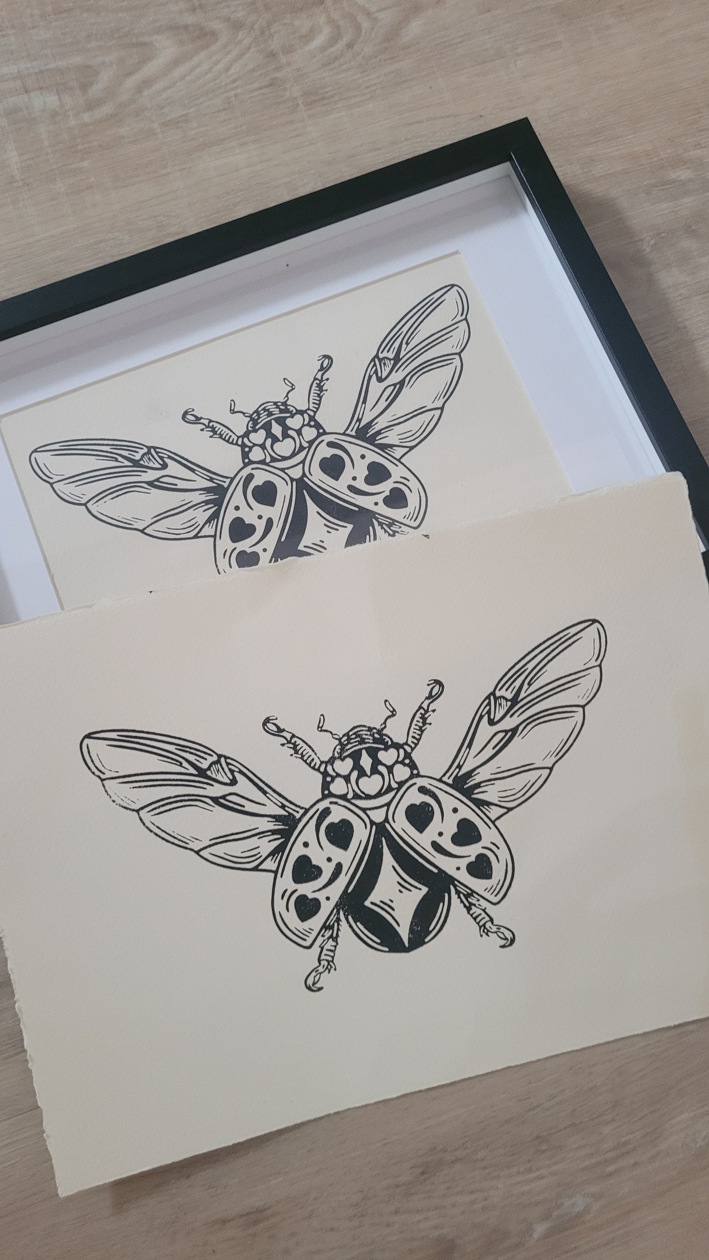 star beetle